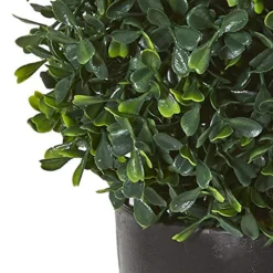 Nearly Natural 13” Boxwood Topiary Artificial UV Resistant (Indoor/Outdoor) Silk Plants Green -Nearly Natural Store 51GpesnHTwL