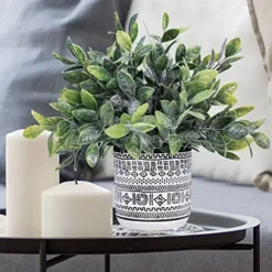 Set Of 3 Assorted Small Potted Plants Fake Eucalyptus Boxwood Plants Aloe Succulent Plant In Black And White Geometric Pots For Table Centerpiece Windowsill Shelf Indoor Outdoor Garden Greenery Decor 10 Set Of 3 Assorted Small Potted Plants Fake Eucalyptus Boxwood Plants Aloe Succulent Plant In Black And White Geometric Pots For Table Centerpiece Windowsill Shelf Indoor Outdoor Garden Greenery Decor -Nearly Natural Store 51HhDHj3CsL