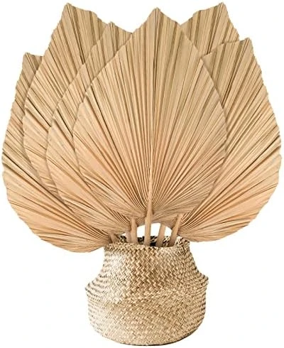 Nuanchu Natural Dried Palm Leaves Boho Palm Leaves Decor Heart Round Shape Palm Fans Tropical Palm Leaves Decoration Dried Palm Leaves Decor For Holidays Weddings Party Kitchen (Heart Shape, 9) 9 Nuanchu Natural Dried Palm Leaves Boho Palm Leaves Decor Heart Round Shape Palm Fans Tropical Palm Leaves Decoration Dried Palm Leaves Decor For Holidays Weddings Party Kitchen (Heart Shape, 9) - Image 9