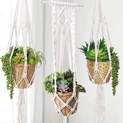 Winlyn 19 Pcs Assorted Artificial Succulents Plants Unpotted Small Green Hanging Succulent Aloe Fake Cacti Succulents Bulk For Succulent Garden Centerpiece Wreath Arrangement Indoor Outdoor Home Decor -Nearly Natural Store 51Jszt9lC9L