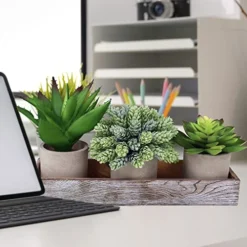 Winlyn Set Of 3 Artificial Potted Succulents Plants In Rustic Wood Tray Succulents Arrangement For Farmhouse Table Centerpiece Desk Windowsill Shelf Counter Home Bathroom Kitchen Office Country Decor -Nearly Natural Store 51MNKvdXbvL