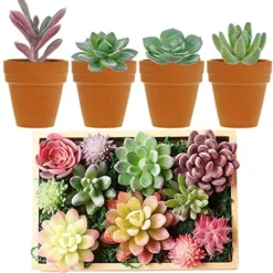 Augshy Artificial Succulents, 16 Pack Fake Succulents Plants Artificial Small Fake Plants Faux Succulents Unpotted For Lotus Landscape Decorative Garden Arrangement Decor -Nearly Natural Store 51MQZM20F8L