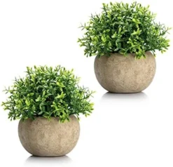 Velener 2Pcs Mini Artificial Boxwood Topiary Faux Plants Indoor- Small Fake Plants Decor Magnolia Home Office Desk Cubicle Farmhouse Kitchen Bookshelf Bedroom Bathroom Decor, Aloe Vera Zen Garden -Nearly Natural Store 51MaEZgPiyL. AC