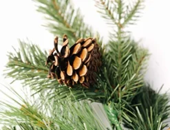 CraftMore Highland Park Pine Pick Set Of 6