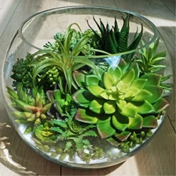 Winlyn 15 Pcs Artificial Succulents Unpotted Bulk Small Faux Succulent Plants Hanging Succulents Hops Aloe For Succulent Garden Wreath Floral Arrangement Indoor Outdoor Green Decor -Nearly Natural Store 51NNh3sreeL