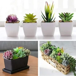Anoak Artificial Succulent Plants - 16 Pcs Set Faux Succulents Unpotted Fake Succulent Plants, Premium Crafting DIY Floral Decor For Home Garden Office Party (High Realistic) -Nearly Natural Store 51OQV5NUyML