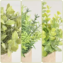 HomEdge Artificial Mini Potted Eucalyptus, 3 Packs Artificial Plastic Plant Greenery With Pot For Home, Office Desk Decoration -Nearly Natural Store 51OjiRfMkqL