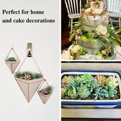 Happyhapi 12 Pcs Artificial Succulents Mini Fake Plants Unpotted Faux Succulent For Craft, Small Plastic Succulents Assortment In Flocked Green Floral Decor For Party, Cake, Garden & Outdoor -Nearly Natural Store 51P365nKhTL