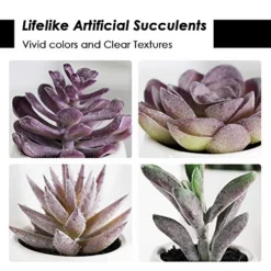 Tiita Artificial Faux Succulents In Pots Fake Plants Ceramic Arrangement Planter Small Mini Tiny Decoration For Home Office Desk Window Sill Bathroom Bedroom Outdoor Indoor 4 Set -Nearly Natural Store 51Pd7Ebr3WL