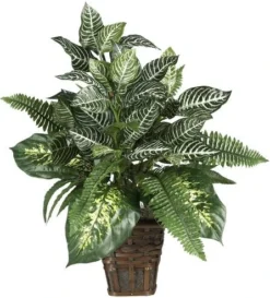Nearly Natural 6527 Greens With Wicker Decorative Silk Plant, Green 30 In X 9 In X 7.5 In -Nearly Natural Store 51QHQcUL8QL. AC