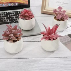 CASTNOO Set Of 4 Succulents Plants Artificial, Mini Fake Succulents For Women Office, Faux Succulents Decor, Artificial Succulents In Ceramic Pots For Desk, Home, Shelf Decorations -Nearly Natural Store 51RaZS9CYLL