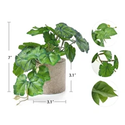 Mkono Faux Plants Indoor Small Fake Potted Rustic Artificial Plants For Home Decor 3 Pack Broad Leaved Faux Greenery With Gray Pot For Shelf Desk Farmhouse Bathroom Decor Coffee Table Centerpiece -Nearly Natural Store 51SImTDodPL