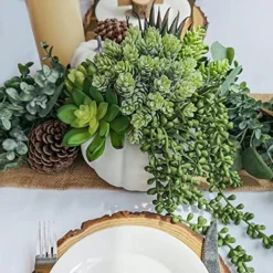 White Fall Pumpkin Centerpiece Artificial Succulent Pumpkin Arrangement With Assorted String Of Pearls Succulents For Fall Thanksgiving Gifts Home Wedding Table Mantel Windowsill Shelf Decor -Nearly Natural Store 51SP5B498tL