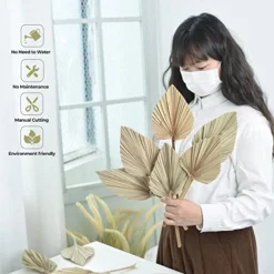 PYSAZI 12 Pcs Natural Dried Palm Leaves Boho Dried Palm Spears Leaves Bulk Small Dried Real Palm Fans Dry Palm Leaves With Stems Dried Leaf Boho Home Décor For Vase Wedding Office Home 43.5*12cm -Nearly Natural Store 51SoJo1kwpL