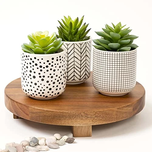 Kurrajong Farmhouse Artificial Succulents In Pots | Set Of 3 Black And White Ceramic Pots With Green Succulents Artificial | Faux Plants Indoor Fake Plants In Pots 4.75" High 2 Kurrajong Farmhouse Artificial Succulents In Pots | Set Of 3 Black And White Ceramic Pots With Green Succulents Artificial | Faux Plants Indoor Fake Plants In Pots 4.75" High - Image 2