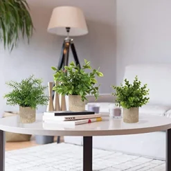 Briful Artificial Potted Plants Set Of 3 Small Faux Plant Eucalyptus Mini Fake Plant Decor For Home Table Office Room Desk Bathroom Shelf Kitchen Rustic Farmhouse Mantel Decoration -Nearly Natural Store 51TUixT1WGS
