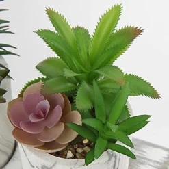 Briful Succulents Plants Artificial In Marble Pot Set Of 3 Small Fake Succulents Plants Faux Succulents With Wood Tray For Table Shelf Office Home Decorations 11 Briful Succulents Plants Artificial In Marble Pot Set Of 3 Small Fake Succulents Plants Faux Succulents With Wood Tray For Table Shelf Office Home Decorations -Nearly Natural Store 51TZ4YAqFxS