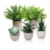 Memeaty Set Of 5 Small Fake Plants Artificial Rosemary Peppermint Plants Fake Succulents Plants In Pot For Home Office Decoration,Artficial Greenery Faux Plants Indoor For Table Shelf Decor