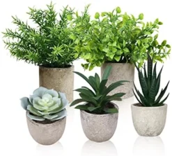 Memeaty Set Of 5 Small Fake Plants Artificial Rosemary Peppermint Plants Fake Succulents Plants In Pot For Home Office Decoration,Artficial Greenery Faux Plants Indoor For Table Shelf Decor -Nearly Natural Store 51US0aGHgsL. AC