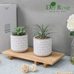 Der Rose 2 Packs Fake Plants Artificial Succulents Plants In Pots For Home Boho Decor Indoor -Nearly Natural Store 51UT5nPmvsL