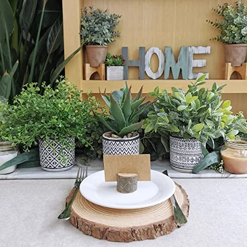 Set Of 3 Assorted Small Potted Plants Fake Eucalyptus Boxwood Plants Aloe Succulent Plant In Black And White Geometric Pots For Table Centerpiece Windowsill Shelf Indoor Outdoor Garden Greenery Decor 2 Set Of 3 Assorted Small Potted Plants Fake Eucalyptus Boxwood Plants Aloe Succulent Plant In Black And White Geometric Pots For Table Centerpiece Windowsill Shelf Indoor Outdoor Garden Greenery Decor - Image 2