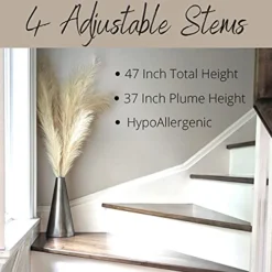 Decor Plus More Faux Pampas Grass Large - Set Of 4 47 Inches Beautiful Tall Artificial Compliments Any Room With Zero Maintenance Perfect For Modern, Boho Or Farmhouse (2 Cream & 2 Ivory Stems) -Nearly Natural Store 51UaSNGTqBL