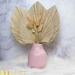 GENERIC Dried Palm Leaves - 3 Pcs Stunning Dried Palm Leaf And 15Pcs Bunny Tails Dried Flowers | Gorgeously Thick Dried Palm Leaves Decor And Bunny Tail For Wedding, Home And Boho Decor | 18 Inch -Nearly Natural Store 51V3rvk8o3L