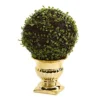 Nearly Natural 1 Mohlenbechia Ball Topiary In Gold Urn, 16