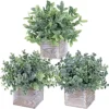 Winlyn Set Of 3 Small Potted Plants Artificial Eucalyptus In Wood Box Faux Eucalyptus In Pots Desk Plants Greenery Centerpiece Table Decorations For Farmhouse Kitchen Windowsill Shelf Entryway Decor