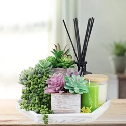 Set Of 3 Assorted Small Potted Succulents Plants Decoration Assorted Green Fake Succulents Plants In Rustic Wooden Pots For Home Living Room Bathroom Table Shelf Windowsill Office Desk Indoor Decor -Nearly Natural Store 51VEWImllyL