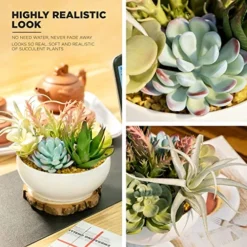 10 In 1- Fake Plants In Pot -Artificial Succulents Plant For Desk Decor -Small Faux Plants Indoor Modern Farmhouse Plants Artificial Decor -Potted Small Plants Decor For Bedroom Bathroom Office Shelf -Nearly Natural Store 51WSeUnN0UL