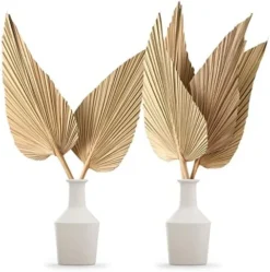 Nuanchu Natural Dried Palm Leaves Boho Palm Leaves Decor Heart Round Shape Palm Fans Tropical Palm Leaves Decoration Dried Palm Leaves Decor For Holidays Weddings Party Kitchen (Heart Shape, 9) 15 Nuanchu Natural Dried Palm Leaves Boho Palm Leaves Decor Heart Round Shape Palm Fans Tropical Palm Leaves Decoration Dried Palm Leaves Decor For Holidays Weddings Party Kitchen (Heart Shape, 9) -Nearly Natural Store 51X2ZyNZdZL. AC
