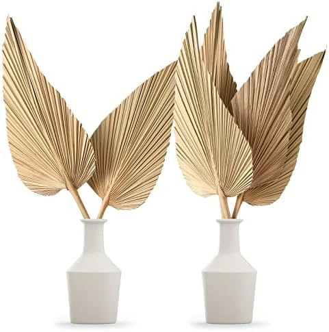 Nuanchu Natural Dried Palm Leaves Boho Palm Leaves Decor Heart Round Shape Palm Fans Tropical Palm Leaves Decoration Dried Palm Leaves Decor For Holidays Weddings Party Kitchen (Heart Shape, 9) 5 Nuanchu Natural Dried Palm Leaves Boho Palm Leaves Decor Heart Round Shape Palm Fans Tropical Palm Leaves Decoration Dried Palm Leaves Decor For Holidays Weddings Party Kitchen (Heart Shape, 9) - Image 5