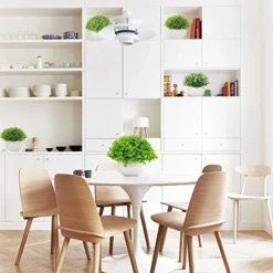 Summer Flower 5 Pack Mini Artificial Plants In Ceramics Pots For Bathroom Home Decor Indoor, 2 Fake Mini Plant Green Boxwood Potted,3 Grass Faux Plant In White Pot For Bookshelf Farmhouse Decorations -Nearly Natural Store 51XYoR4lzML