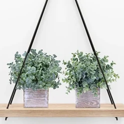 Winlyn Set Of 3 Small Potted Plants Artificial Eucalyptus In Wood Box Faux Eucalyptus In Pots Desk Plants Greenery Centerpiece Table Decorations For Farmhouse Kitchen Windowsill Shelf Entryway Decor -Nearly Natural Store 51ZNDFMXcXL