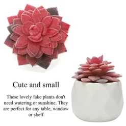 CASTNOO Set Of 4 Succulents Plants Artificial, Mini Fake Succulents For Women Office, Faux Succulents Decor, Artificial Succulents In Ceramic Pots For Desk, Home, Shelf Decorations -Nearly Natural Store 51a8rVwmfiL