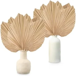 Nuanchu Natural Dried Palm Leaves Boho Palm Leaves Decor Heart Round Shape Palm Fans Tropical Palm Leaves Decoration Dried Palm Leaves Decor For Holidays Weddings Party Kitchen (Heart Shape, 9) 20 Nuanchu Natural Dried Palm Leaves Boho Palm Leaves Decor Heart Round Shape Palm Fans Tropical Palm Leaves Decoration Dried Palm Leaves Decor For Holidays Weddings Party Kitchen (Heart Shape, 9) -Nearly Natural Store 51b9zszPVUL. AC
