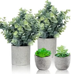 Flojery Mini Potted Plants Artificial Eucalyptus Boxwood Rosemary Greenery In Pots Faux Potted Herbs Small House Plants 8.3"-9" Tall For Indoor Greenery Tabletop Décor Centerpiece (Sprayed Eucalyptus) -Nearly Natural Store 51bgaGljGyL. AC