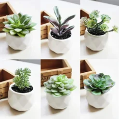 Augshy Artificial Succulents, 16 Pack Fake Succulents Plants Artificial Small Fake Plants Faux Succulents Unpotted For Lotus Landscape Decorative Garden Arrangement Decor -Nearly Natural Store 51c46X94qUL