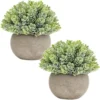 Briful Small Fake Plants Faux Potted Plant Mini Artificial Plants For For Home Table Office Room Desk Bathroom Shelf Kitchen Farmhouse Mantel Decoration
