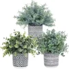 Set Of 3 Assorted Small Potted Plants Fake Eucalyptus Rosemary Plants In Black & White Geometric Concrete Ceramic Pots For Table Centerpiece Desk Shelf Kitchen Office Indoor Outdoor Greenery Decor
