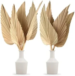 Nuanchu Natural Dried Palm Leaves Boho Palm Leaves Decor Heart Round Shape Palm Fans Tropical Palm Leaves Decoration Dried Palm Leaves Decor For Holidays Weddings Party Kitchen (Heart Shape, 9) 16 Nuanchu Natural Dried Palm Leaves Boho Palm Leaves Decor Heart Round Shape Palm Fans Tropical Palm Leaves Decoration Dried Palm Leaves Decor For Holidays Weddings Party Kitchen (Heart Shape, 9) -Nearly Natural Store 51cQ7JN9LqL. AC