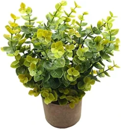 Svenee Mini Potted Plants Artificial Flocked Eucalyptus Greenery In Pots Faux Potted Herbs Small Houseplants For Indoor Outdoor Greenery Tabletop Decoration Centerpiece, Garden,Farmhouse (1) -Nearly Natural Store 51dStkKDrWS. AC