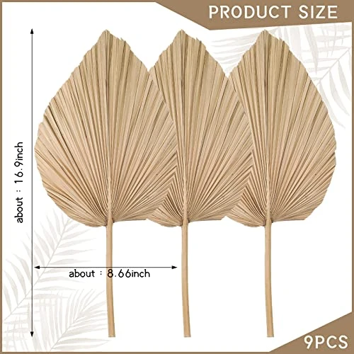 Nuanchu Natural Dried Palm Leaves Boho Palm Leaves Decor Heart Round Shape Palm Fans Tropical Palm Leaves Decoration Dried Palm Leaves Decor For Holidays Weddings Party Kitchen (Heart Shape, 9) 2 Nuanchu Natural Dried Palm Leaves Boho Palm Leaves Decor Heart Round Shape Palm Fans Tropical Palm Leaves Decoration Dried Palm Leaves Decor For Holidays Weddings Party Kitchen (Heart Shape, 9) - Image 2