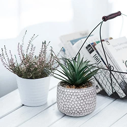 CADNLY Small Fake Plants In Pot - Artificial Succulents Plant For Desk - Small Faux Plants Indoor Modern Farmhouse Plants Artificial Decor – Potted Small Plants Decor For Bedroom Bathroom Office Shelf 2 CADNLY Small Fake Plants In Pot - Artificial Succulents Plant For Desk - Small Faux Plants Indoor Modern Farmhouse Plants Artificial Decor – Potted Small Plants Decor For Bedroom Bathroom Office Shelf - Image 2