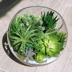 Winlyn 19 Pcs Assorted Artificial Succulents Plants Unpotted Small Green Hanging Succulent Aloe Fake Cacti Succulents Bulk For Succulent Garden Centerpiece Wreath Arrangement Indoor Outdoor Home Decor -Nearly Natural Store 51eQqboHVwL