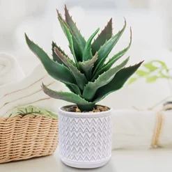 Set Of 3 Assorted Small Potted Plants Fake Eucalyptus Boxwood Plants And Aloe Succulent Plant In Gray Geometric Concrete Ceramic Pots For Gifts Home Kitchen Table Desk Indoor Outdoor Greenery Decor -Nearly Natural Store 51f3WsRw8rL