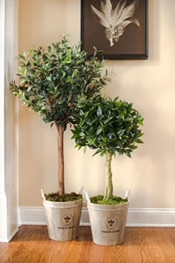 Nearly Natural 5960 4.5' Olive Topiary Tree With European Barrel Planter -Nearly Natural Store 51f4TWQ02NL