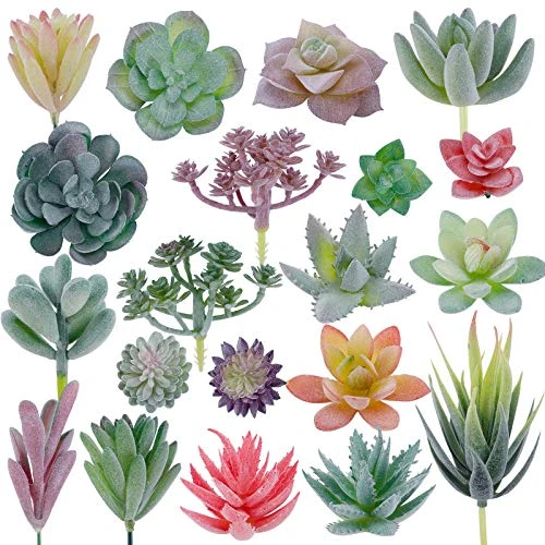 CEWOR 20pcs Artificial Flocked Succulents Mini Fake Succulent Plants Faux Premium Decor For DIY Crafting Home Floral Wall Garden Arrangement Office Decoration (Unpotted) 1 CEWOR 20pcs Artificial Flocked Succulents Mini Fake Succulent Plants Faux Premium Decor For DIY Crafting Home Floral Wall Garden Arrangement Office Decoration (Unpotted)