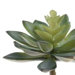 BCP Pack Of 2 Realistic Cute Green Home Garden Artificial Plastic Snowdrop Echeverias Succulent Plants Unpotted -Nearly Natural Store 51fNp39UQoL